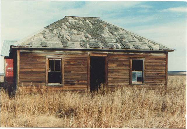 A wooden house in a field

Description automatically generated